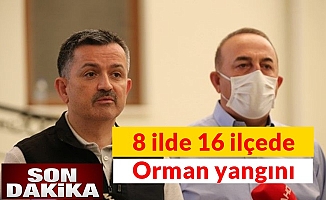 Bekir Pakdemirli'den kritik açıklama Türkiye'de 8 ilde 16 ilçede orman yangını