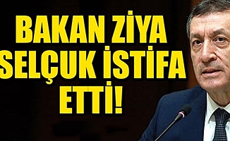 Milli Eğitim Bakanı Ziya Selçuk istifa etti|Yeni Milli Eğitim Bakanı kim?