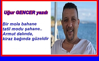 Uğur GENCER yazdı