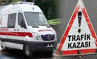 Bitlis'te yolcu otobüsü devrildi ; 15 yaralı !