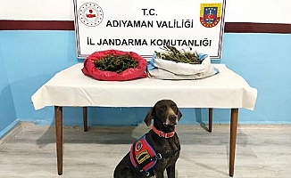 Adıyaman'da uyuşturucuya geçit yok!