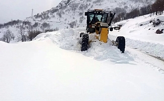 Bingöl'de kapalı köy yolları açma çalışmaları sürüyor