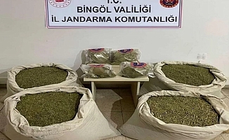 Bingöl’de 145 kilogram esrar ele geçirildi