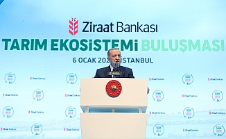 Cumhurbaşkanı Erdoğan'dan çiftçilere 3 yeni destek paketi