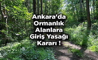 Ankara'da ormanlık alanlara giriş yasaklandı!
