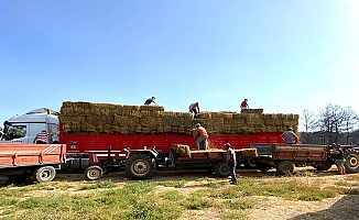 Kocaeli’den, Çanakkale’deki yangın mağduru çiftçilere destek