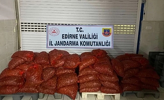 Enez'de kaçak kum midyesi yakalandı