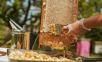 Sahte ballara el atıldı... 3 ay sonra başlıyor!