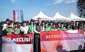 Vali Gül ve Öğrenciler, Yanan Ormanda Fidanları Toprakla Buluşturdu