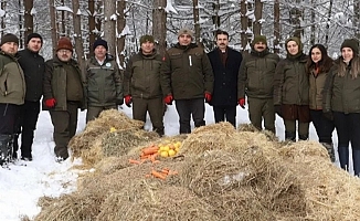 Düzce'de yaban hayvanları için yem bırakıldı