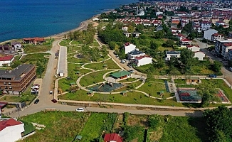 Ordu'da yeşil seferberlik