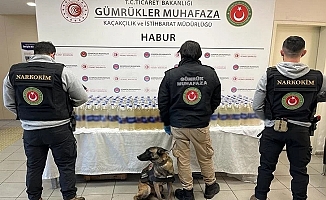 Habur Gümrük Kapısı'nda zehir operasyonu