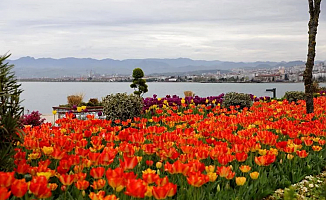 Karadeniz'in incisi Ordu