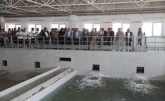 Şanlıurfa'da 100 yıllık içme suyu sorunu çözüldü
