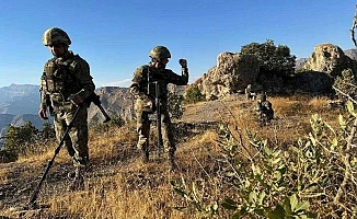 Şırnak'ta 4 terörist etkisiz hale getirildi