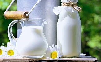 Çiğ süt primi litre başına 1 TL olacak