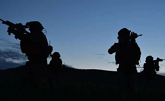 Pençe Kilit ve Barış Pınarı'nda 4 terörist etkisiz
