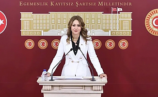 MHP'li Karakoç Dora, Trump ile Zelenskiy görüşmesini değerlendirdi