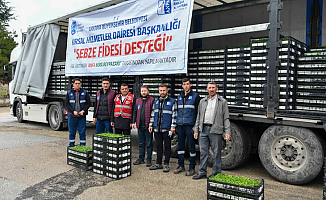 Ankara'da 1 milyonun üzerinde erkenci sebze fidesi dağıtıldı