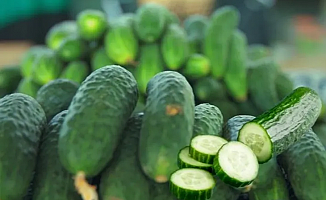 ABD’de salmonella alarmı! O salatalıklar toplatılıyor!