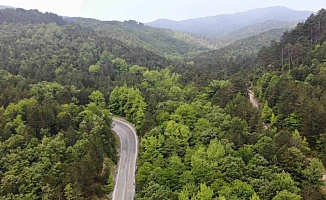 Çanakkale'de ormanlık alanlara girişler 1 Haziran'dan itibaren yasaklandı