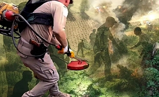 Diyarbakır'da milyonlarca kök kenevir ele geçirildi