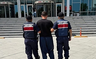 20 günde 61 orman yangınıyla ilgili 23 gözaltı!
