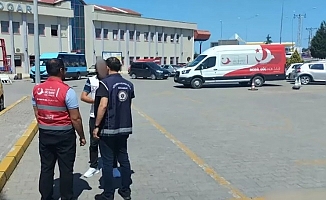Göçmen kaçakçısı 32 organizatör ile 572 düzensiz göçmen yakalandı