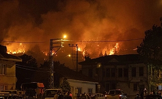 Sakarya-Bilecik orman yangını kontrol altında