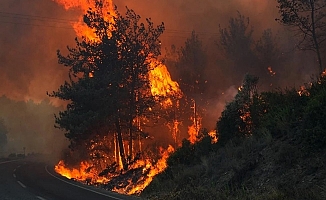 Çanakkale’de orman yangınına müdahale sürüyor