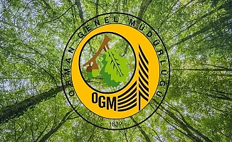 Orman Genel Müdürlüğü uyardı; Dikkatli olalım!