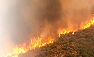 Çanakkale'de orman yangını çıktı!