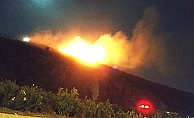 Gebze'de çıkan yangında çok sayıda çam ağacı yandı!