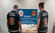 İstanbul Sabiha Gökçen Havalimanında yakalandı