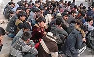 Kocaeli'de 11 kaçak göçmen yakalandı