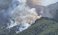 Bolu'da orman yangınına havadan ve karadan müdahale