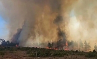 Çanakkale’de orman yangını