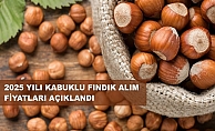 Fındık Taban Fiyatı Açıklandı!