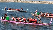 Dragon Bot Yarışları 2’nci kez Ordu’da