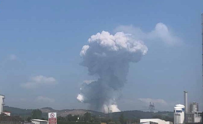 Sakarya#039;da havai fişek fabrikasında şiddetli patlama meydana geldi